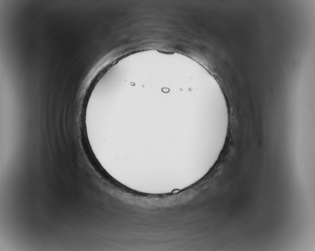 X0000083530007200703091522