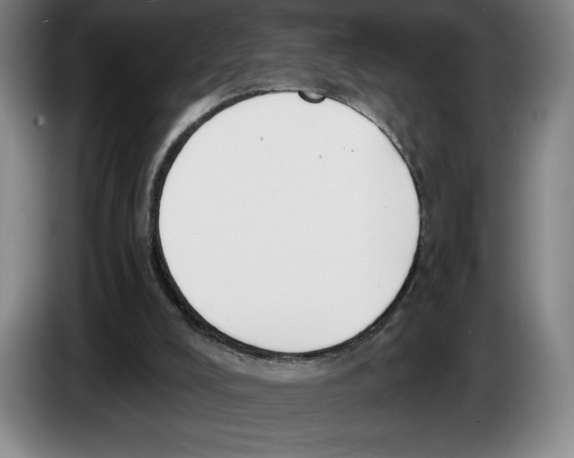 X0000083530008200703091522