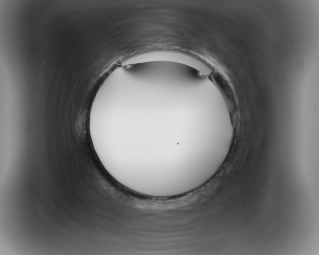 X0000083530009200703091522