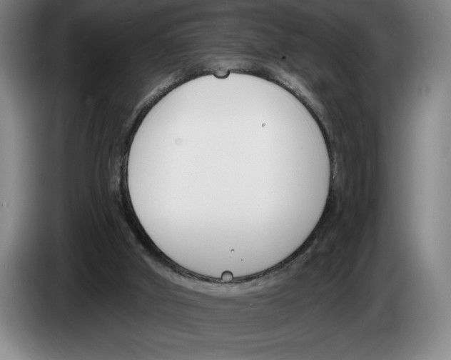 X0000083530010200703091522