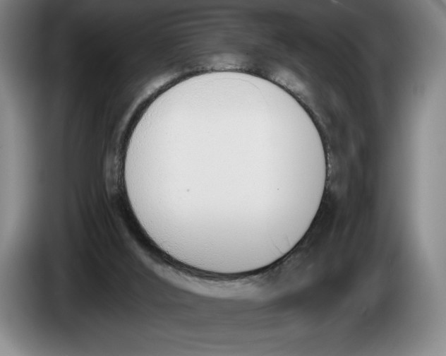 X0000083530012200703091522