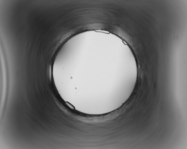 X0000083530013200703091522