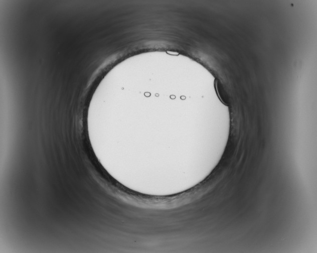 X0000083530015200703091522