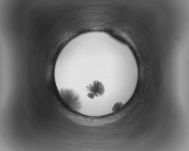 X0000083530018200703091522