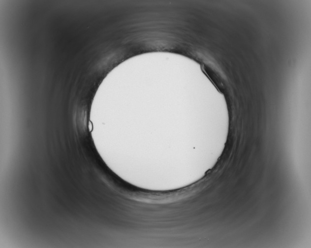 X0000083530021200703091522