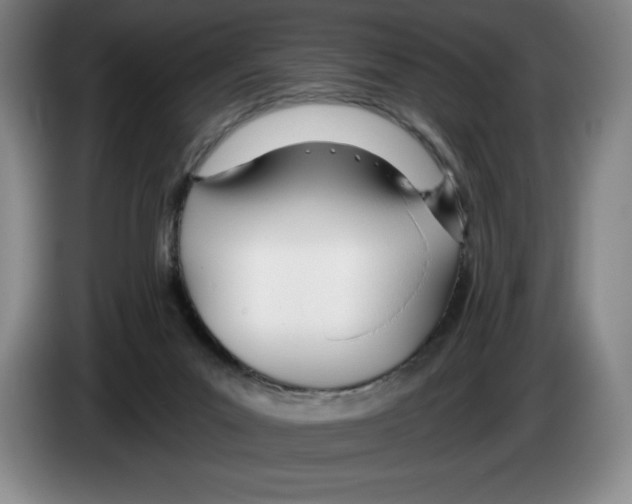 X0000083530023200703091522