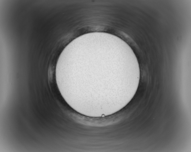 X0000083530026200703091522