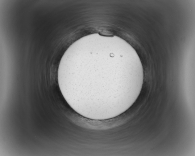 X0000083530030200703091521