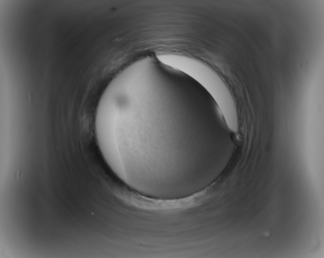 X0000083530031200703091521