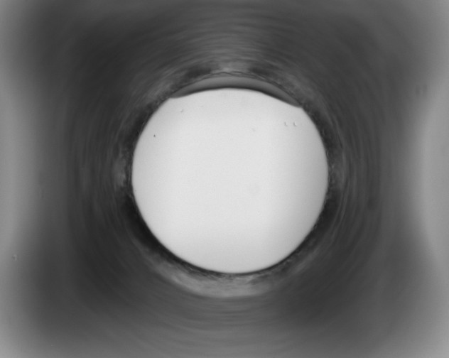 X0000083530032200703091521