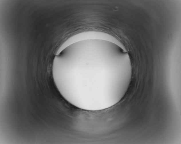 X0000083530033200703091521