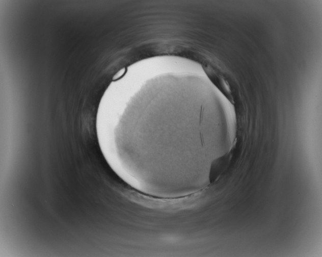 X0000083530035200703091521