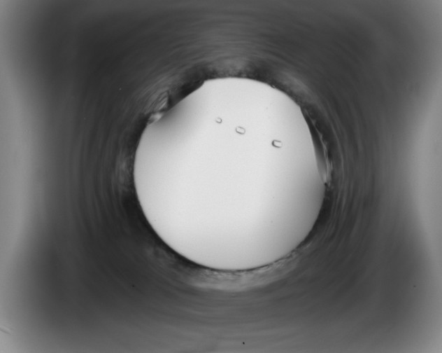 X0000083530037200703091521