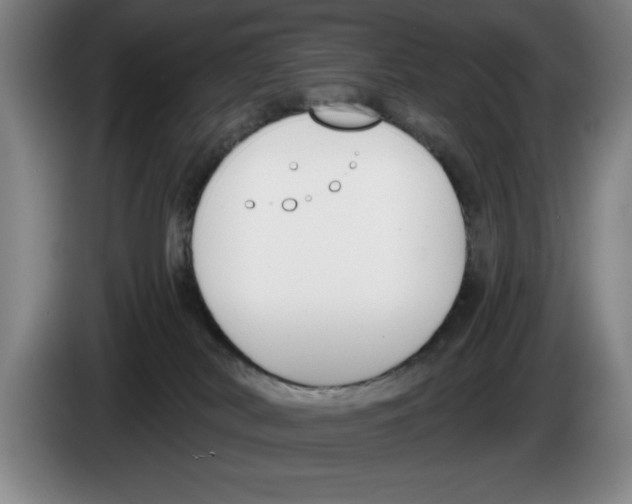 X0000083530038200703091521