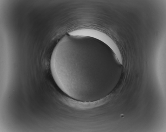 X0000083530039200703091521