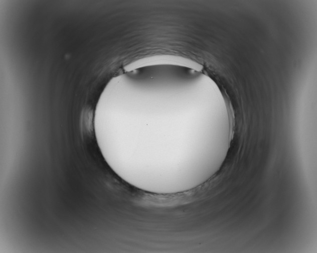 X0000083530041200703091521