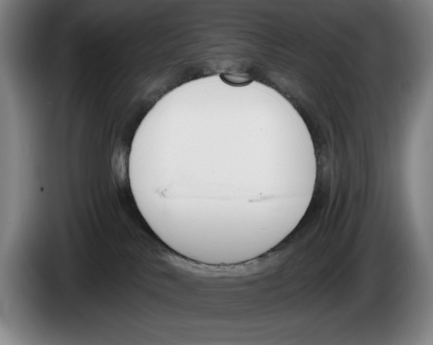 X0000083530042200703091521