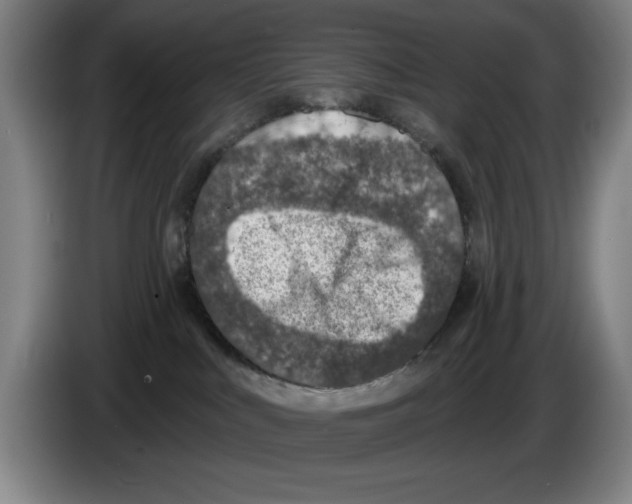 X0000083530043200703091521