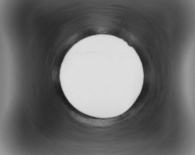 X0000083530044200703091521