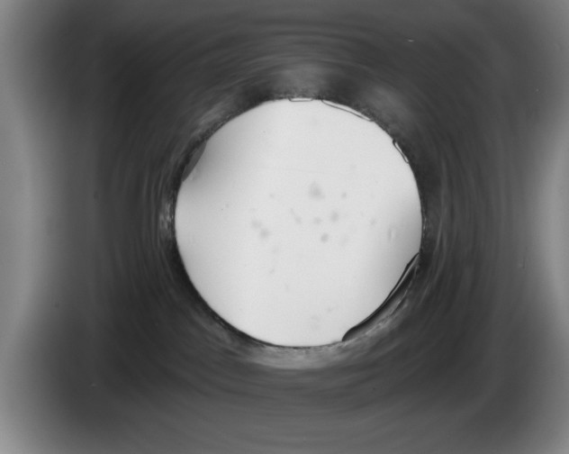 X0000083530045200703091521