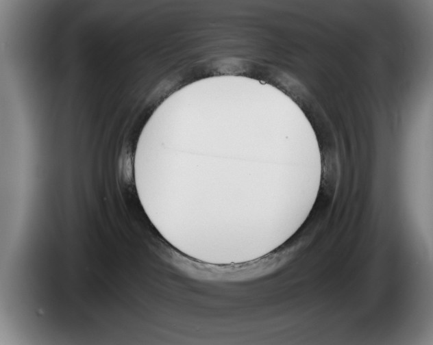 X0000083530046200703091521