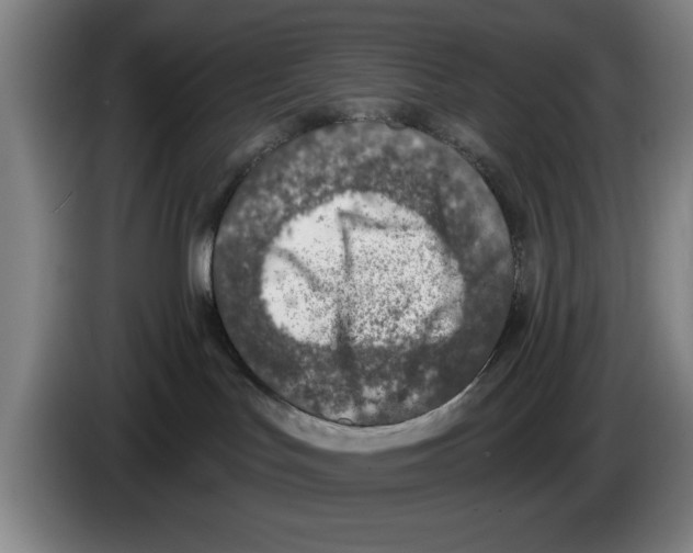 X0000083530047200703091521