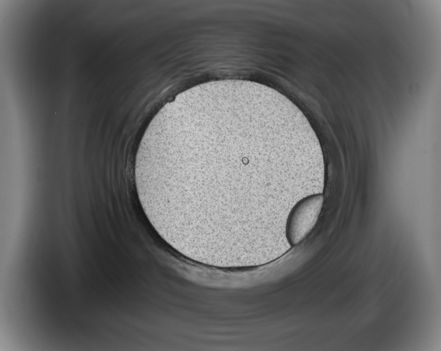 X0000083530048200703091521