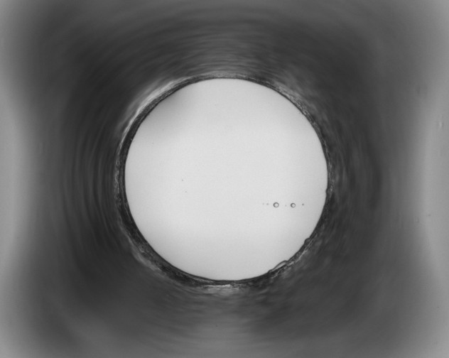 X0000083530050200703091520