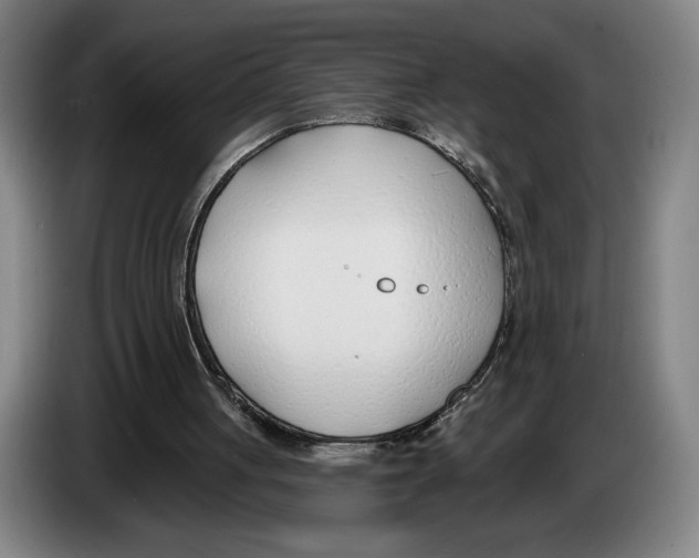 X0000083530051200703091520