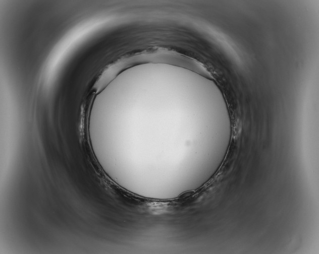 X0000083530052200703091521