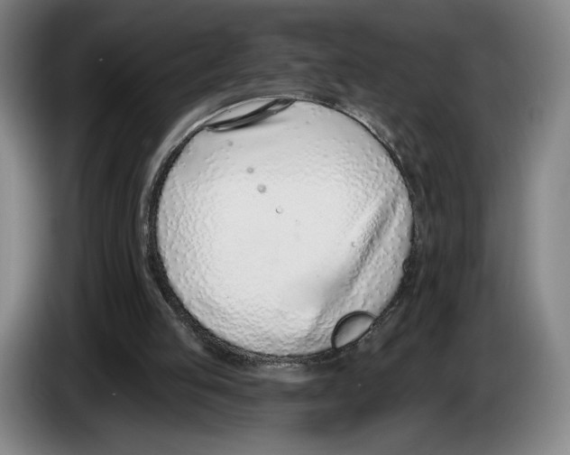 X0000083530053200703091521