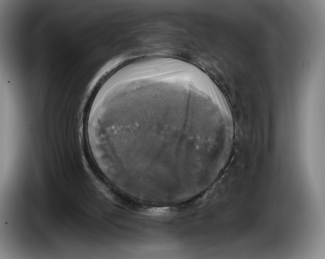 X0000083530054200703091521