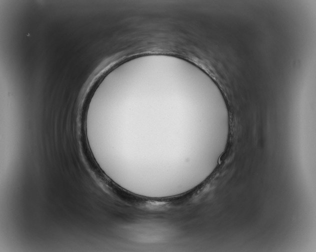 X0000083530055200703091521