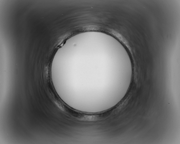 X0000083530057200703091521