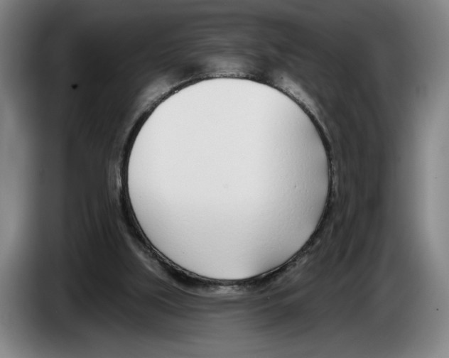 X0000083530059200703091521