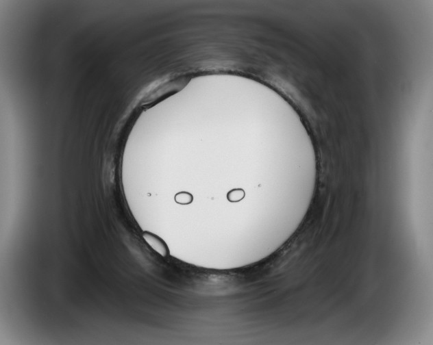 X0000083530060200703091521