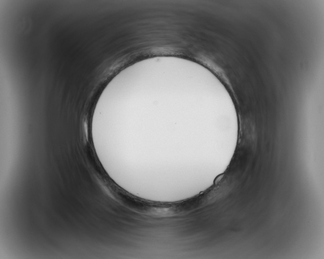 X0000083530061200703091521