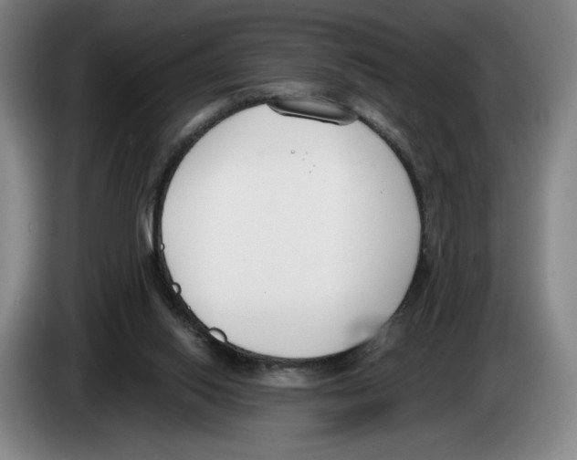 X0000083530062200703091521