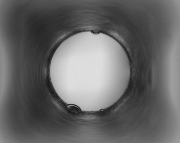 X0000083530063200703091521