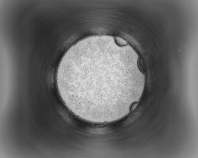 X0000083530065200703091521