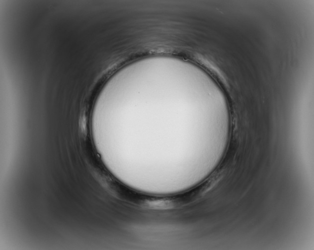 X0000083530067200703091521