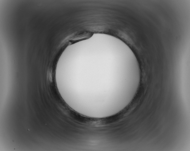 X0000083530068200703091521