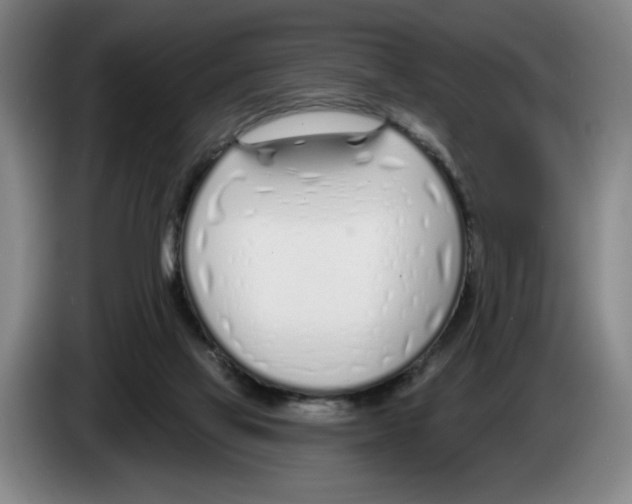 X0000083530069200703091521