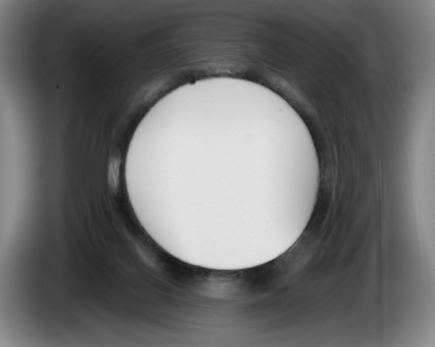 X0000083530070200703091521