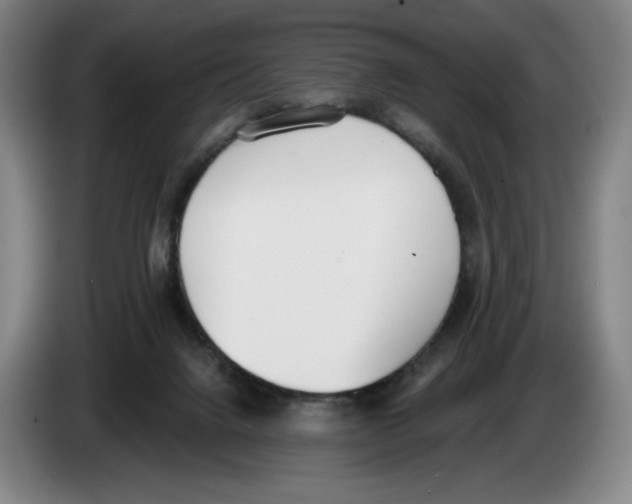 X0000083530072200703091521