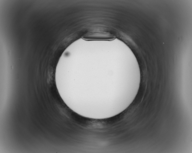 X0000083530073200703091521