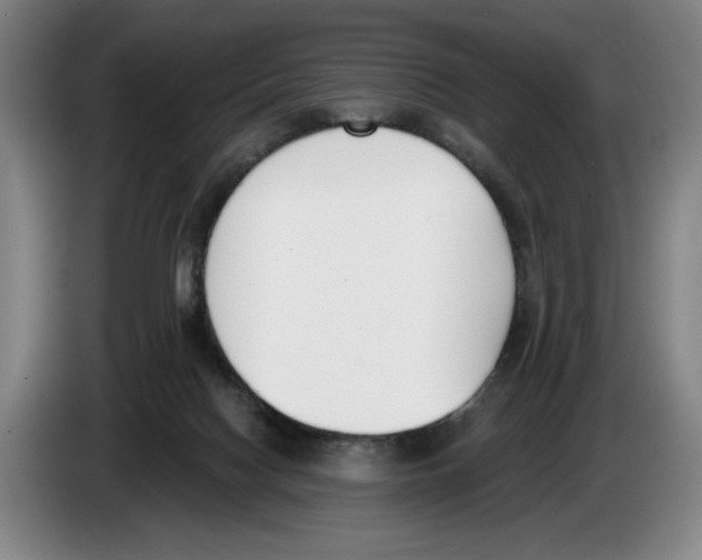 X0000083530074200703091521