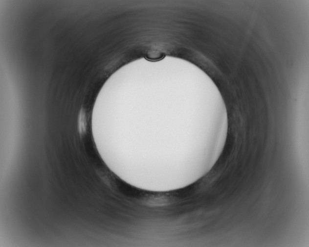 X0000083530075200703091521