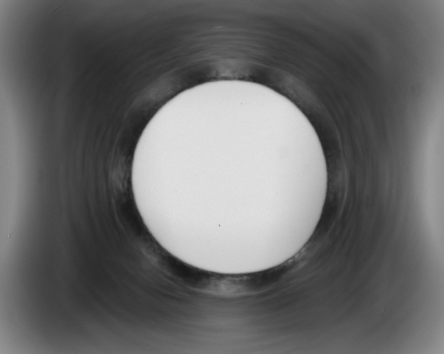 X0000083530078200703091521