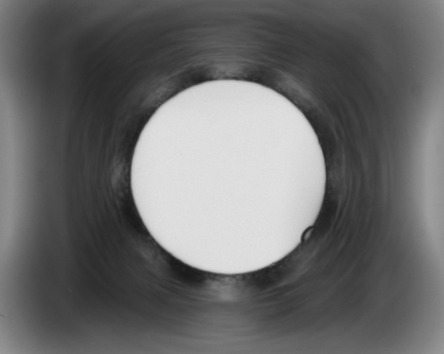 X0000083530079200703091521